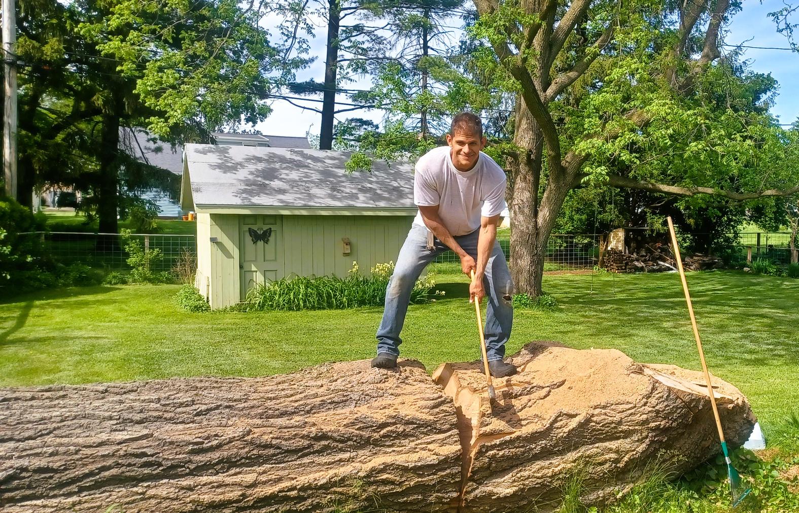 Tree Reclamation - Live Edge Slabs