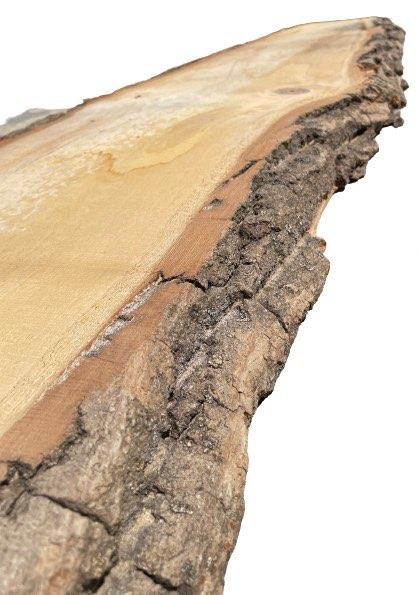 Live Edge Cottonwood Slabs