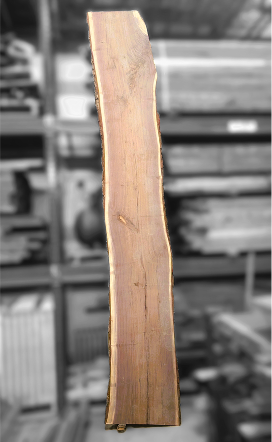 Live Edge Black Walnut Slabs